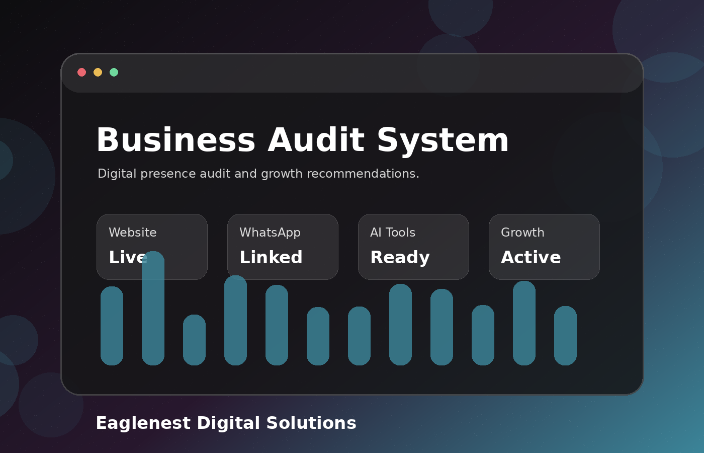 Business audit system preview